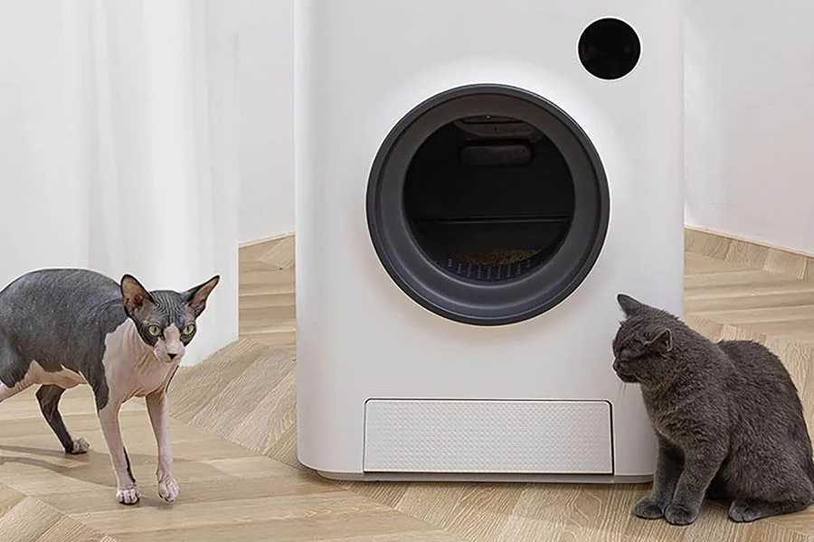 litterboxes