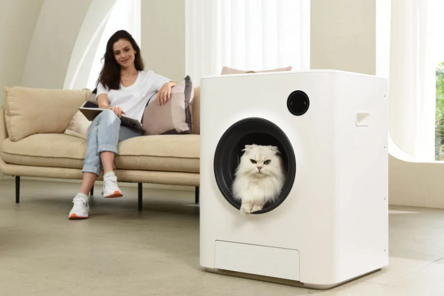 auto clean kitty litter box