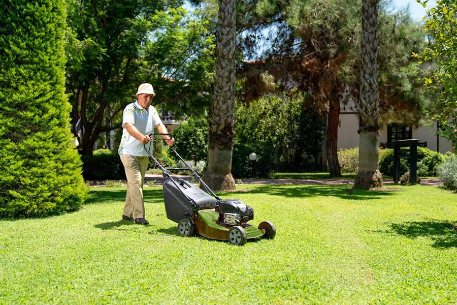 best electric cordless mowers